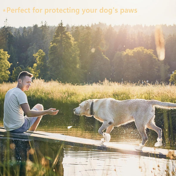 Croc-Style Dog Shoes