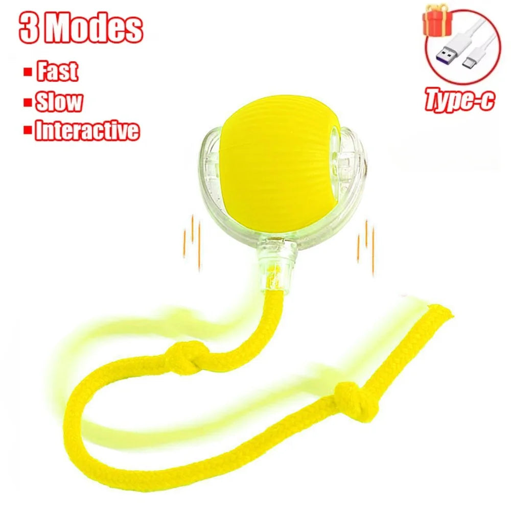 Interactive Cat Ball Toy