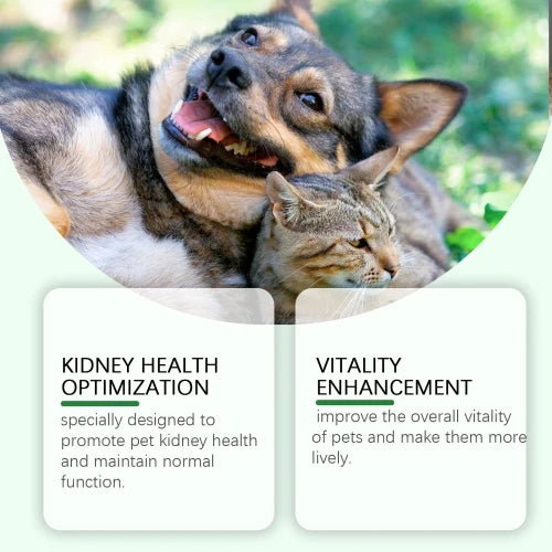 Yegbong Pet To Enhance The Health Of Pets Gentle Ingredient Care Supplement