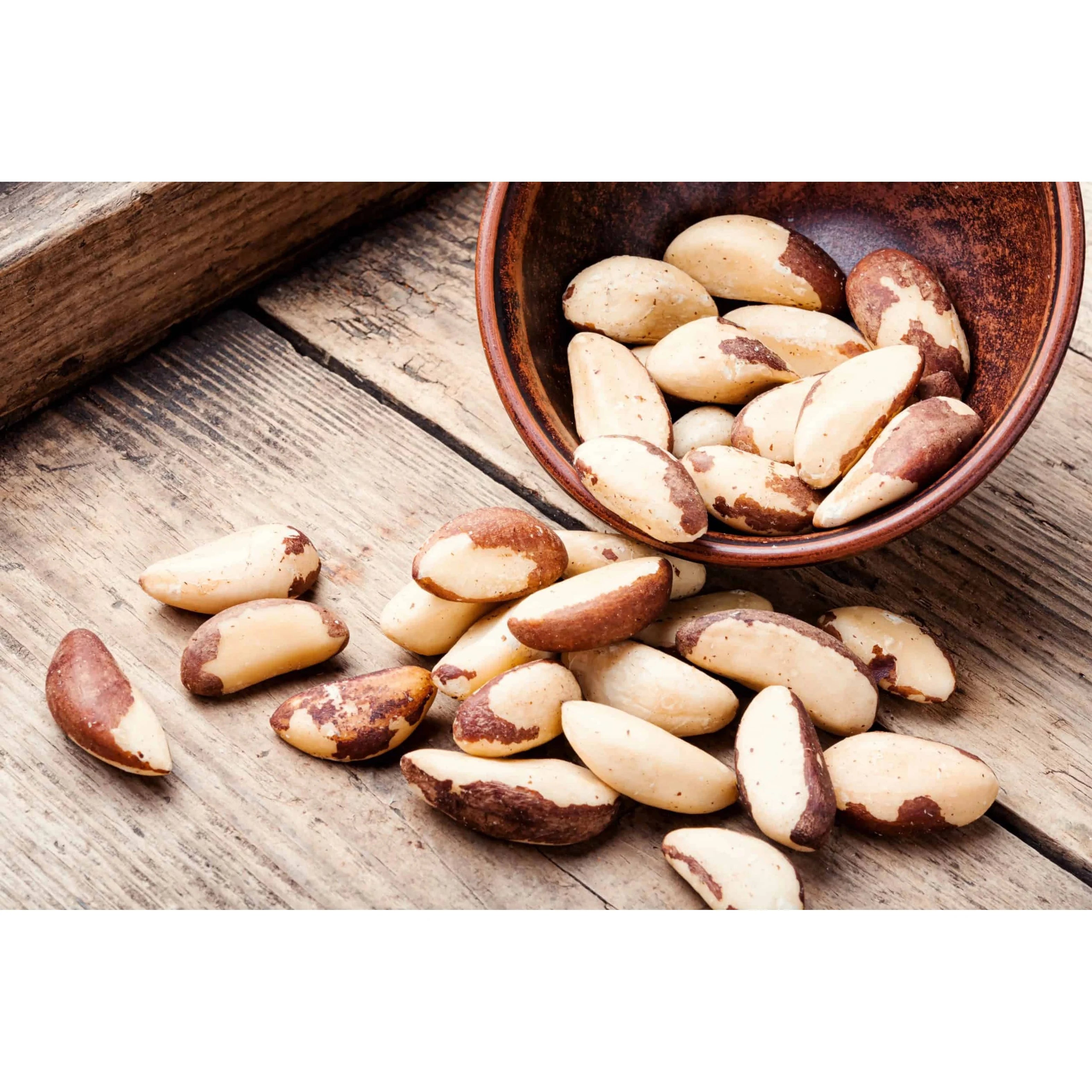 TD Brazil Nut Soft Chews for Dogs Cats Petz Kitchen's Holistic Super Foods for Skin Coat Weight Gain Support Bottles Pets Fish