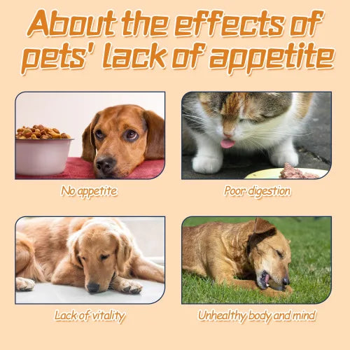 Yegbong For Every Pets  Energizing And Nourishing Pet Health Care Drops