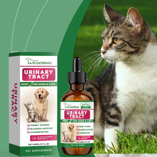 Yegbong Pet To Enhance The Health Of Pets Gentle Ingredient Care Supplement