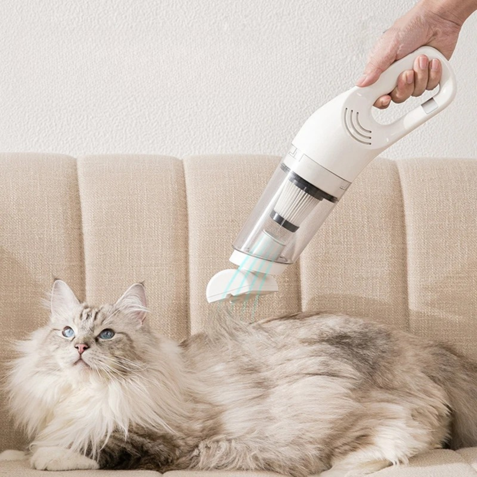 Pet Grooming Suction Tool