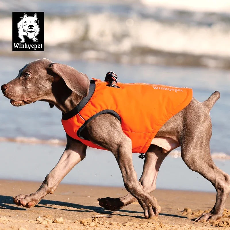 Reflective Outdoor Pet Harness Vest