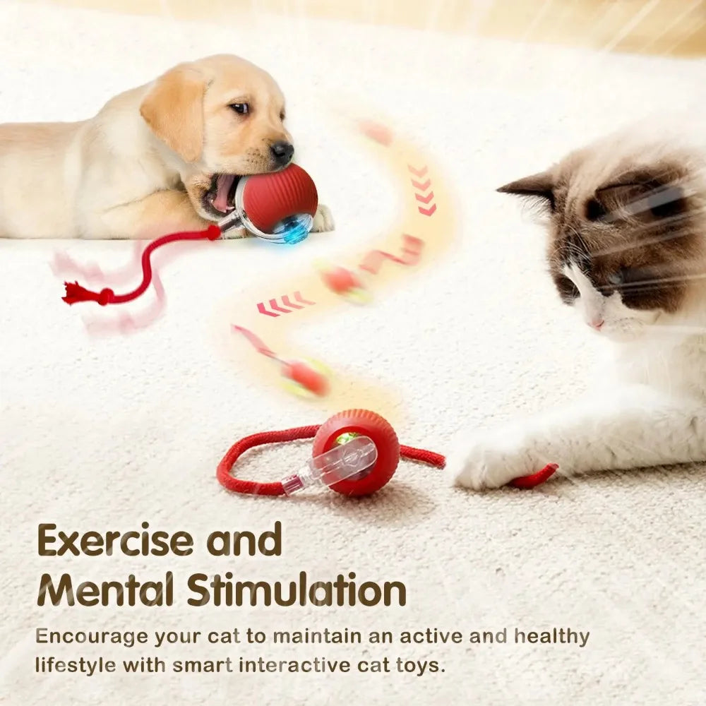 Interactive Cat Ball Toy