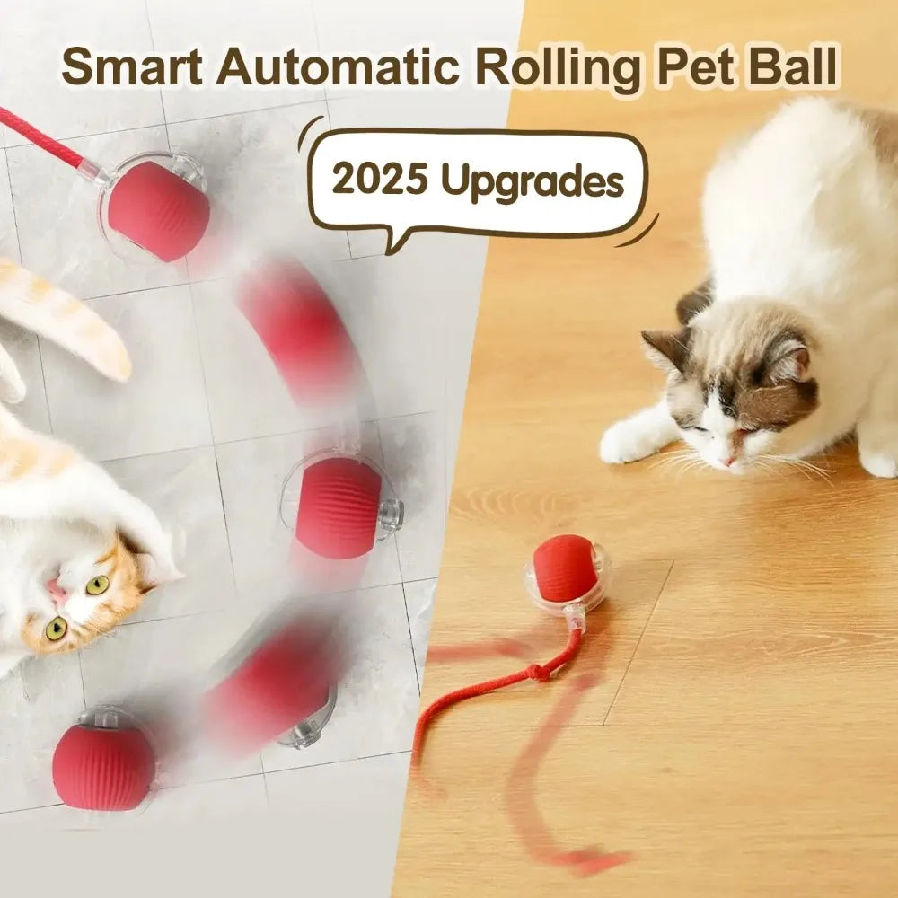 Interactive Cat Ball Toy