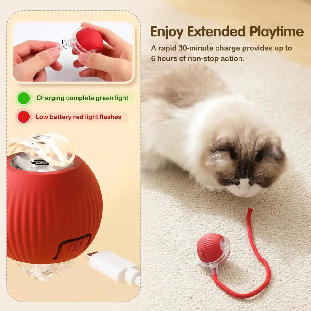 Interactive Cat Ball Toy