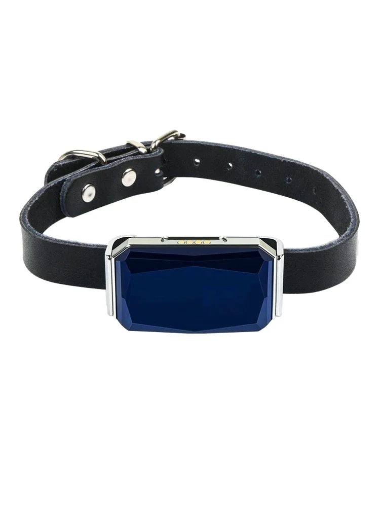 Waterproof Pet GPS Tracker