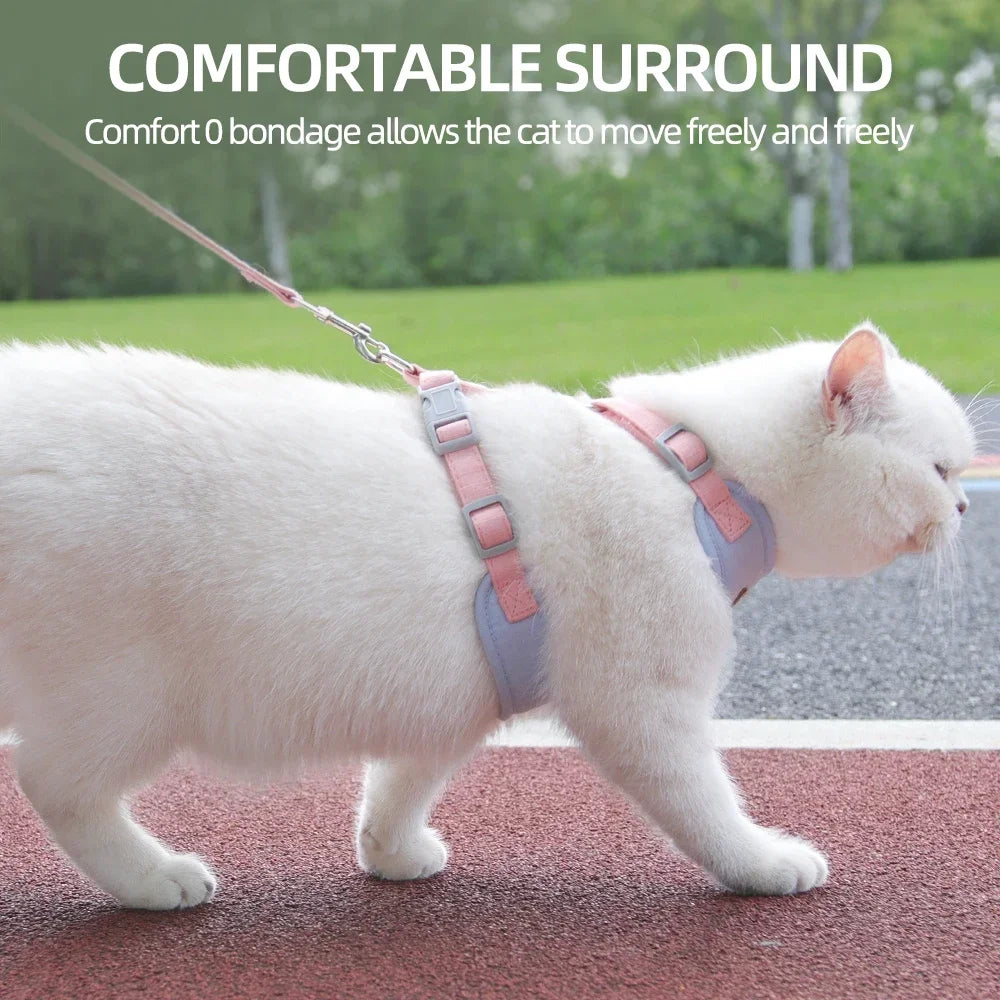 Pet Harness & Leash Set