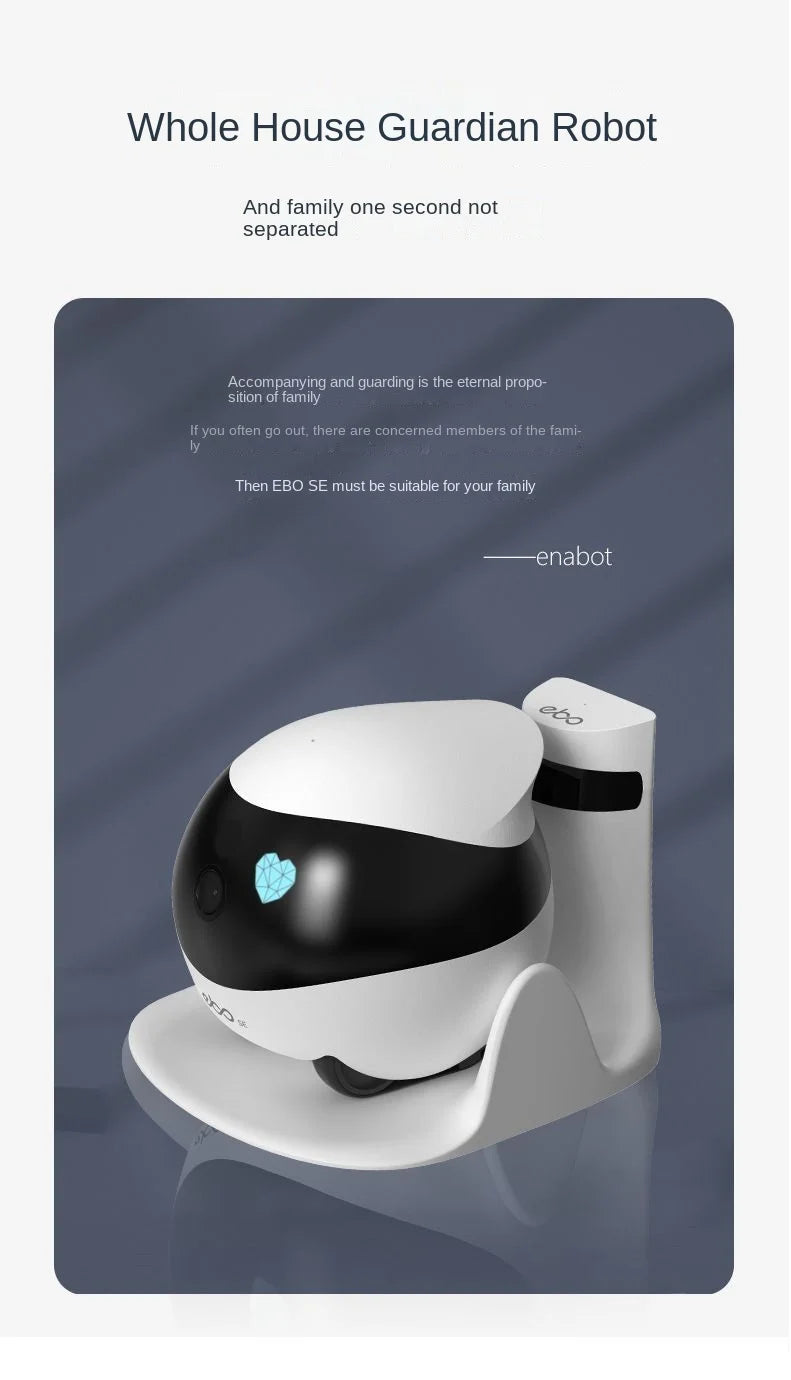 Smart Pet Companion Robot with Camera