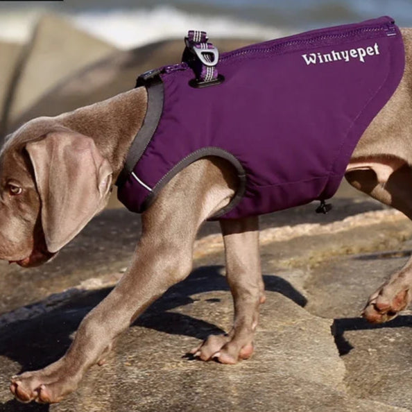 Reflective Outdoor Pet Harness Vest