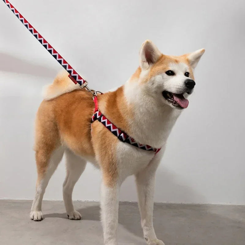 Multi-Functional Dog Leash & Harness Set