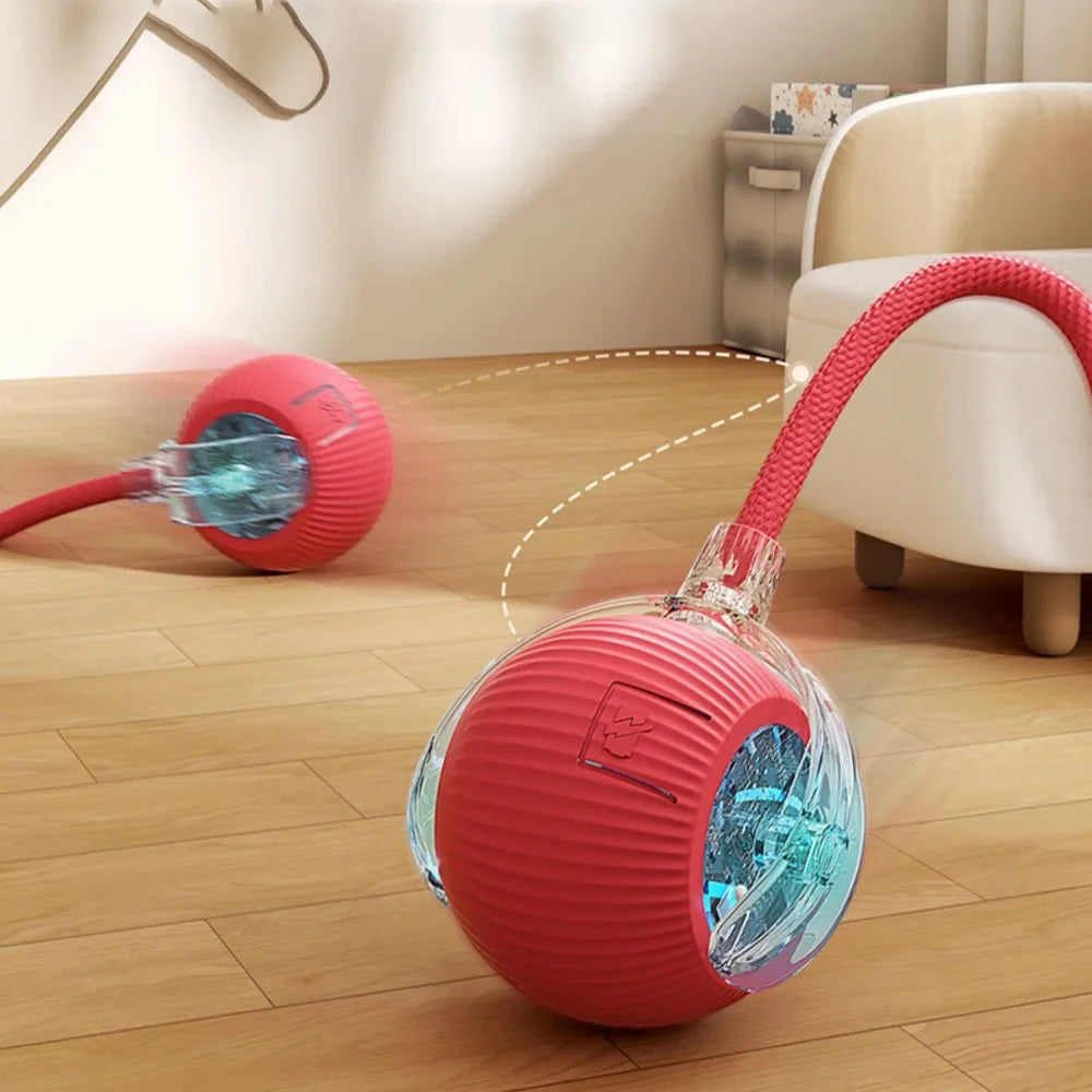 Interactive Cat Ball Toy
