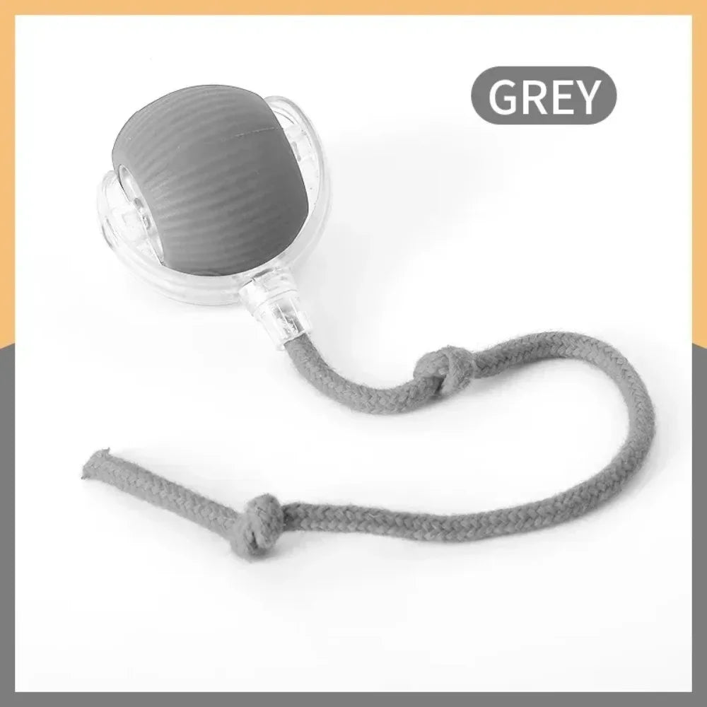 Interactive Cat Ball Toy