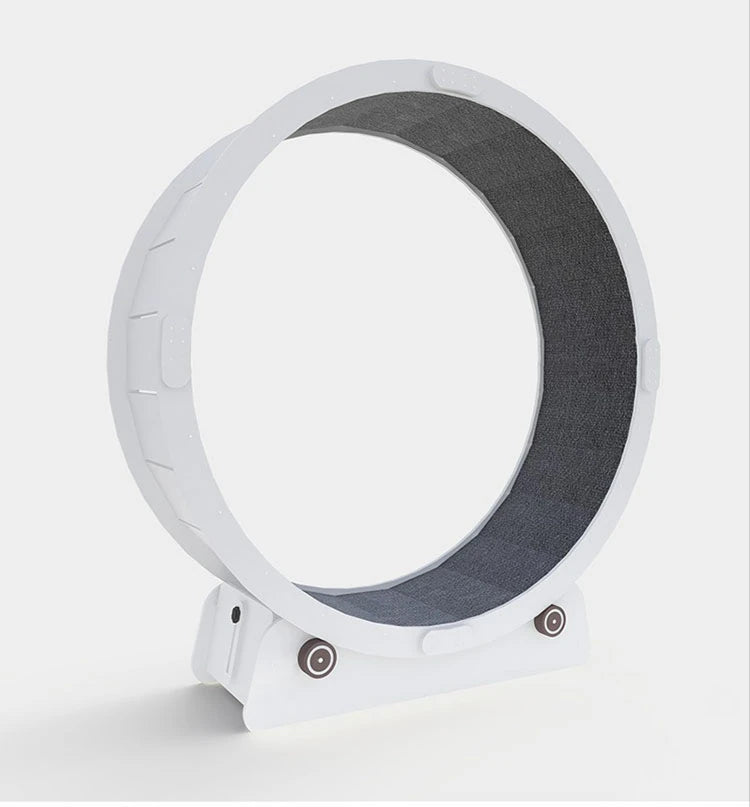 Silent Pet Treadmill & Interactive Gym Wheel
