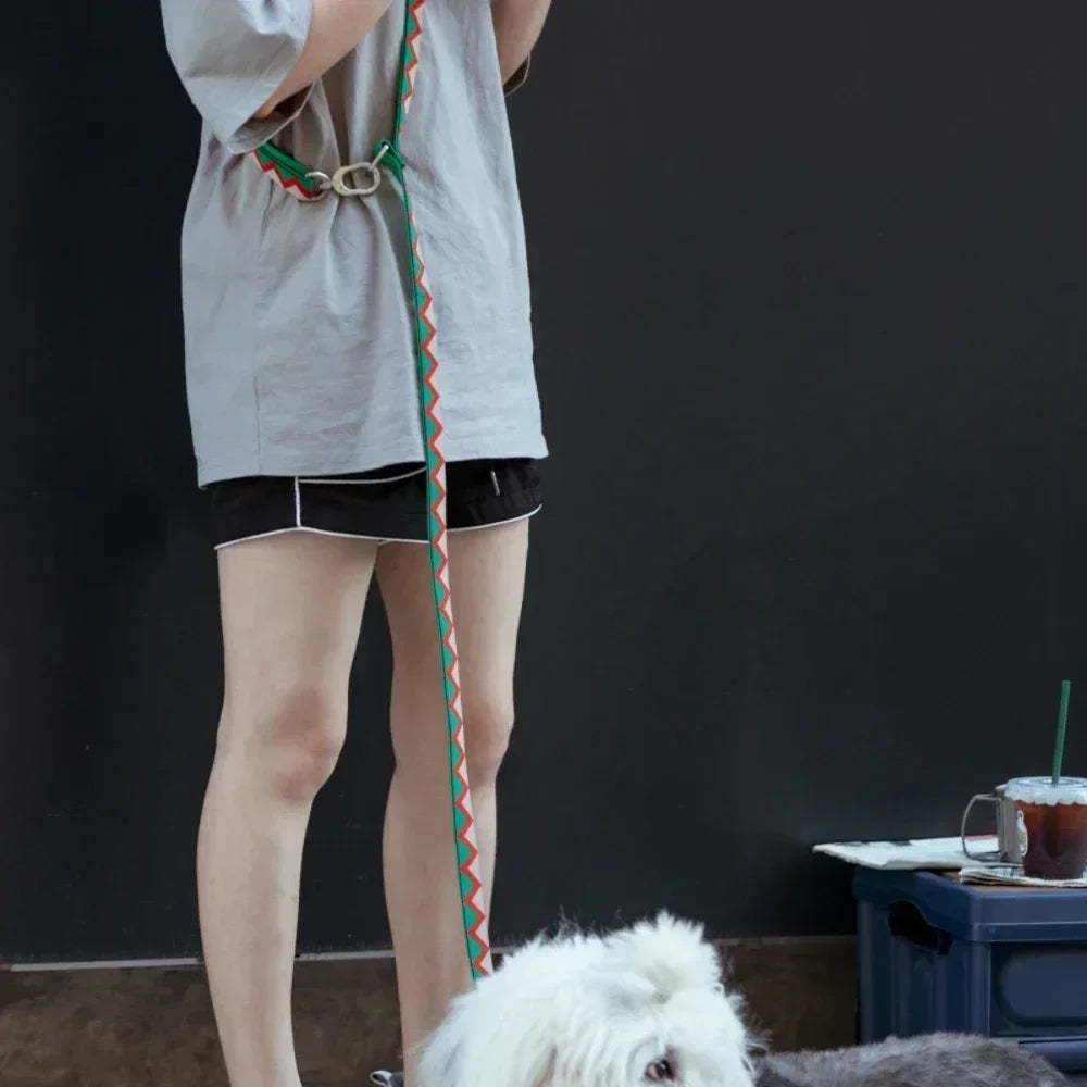 Multi-Functional Dog Leash & Harness Set