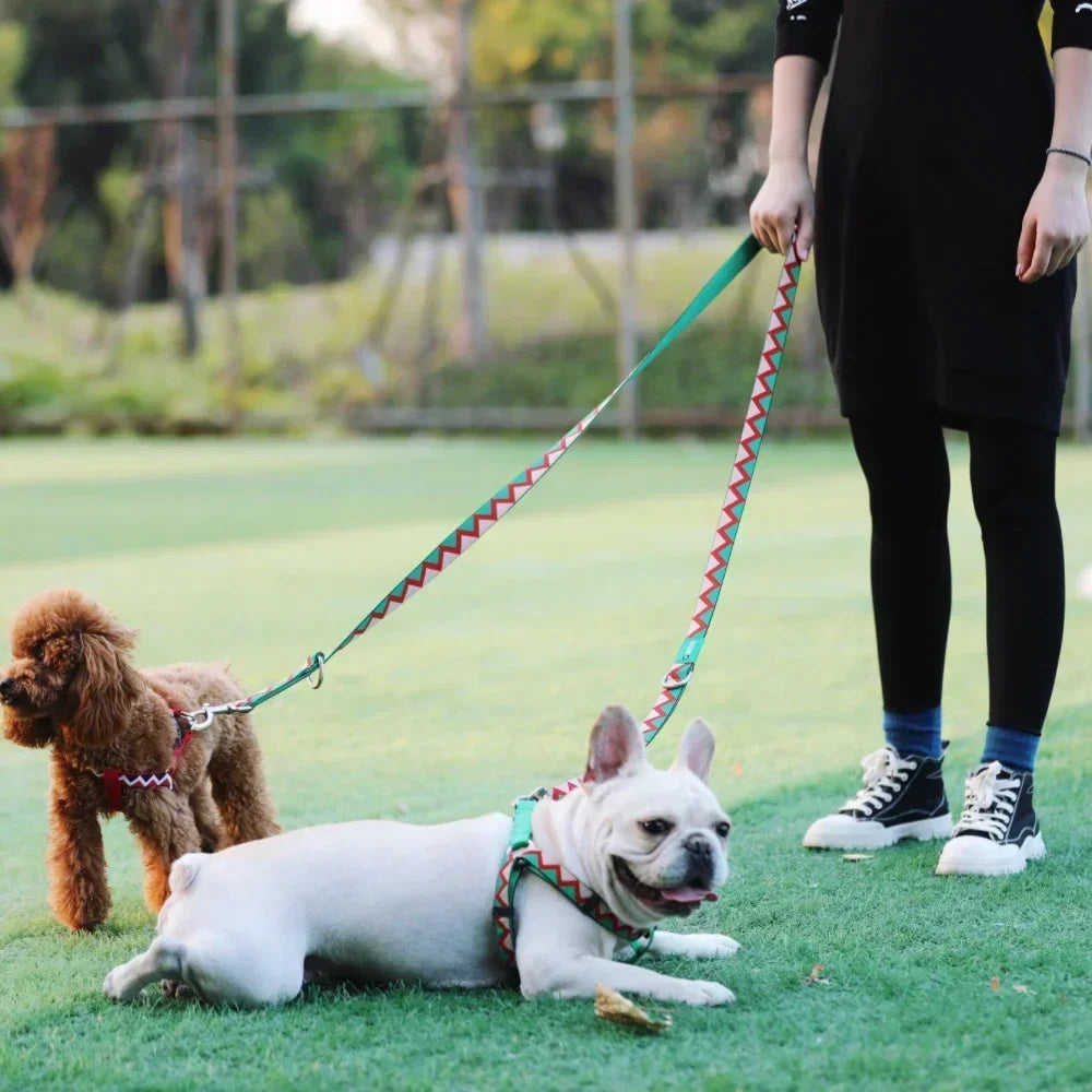 Multi-Functional Dog Leash & Harness Set