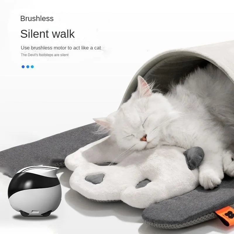 Smart Pet Companion Robot with Camera