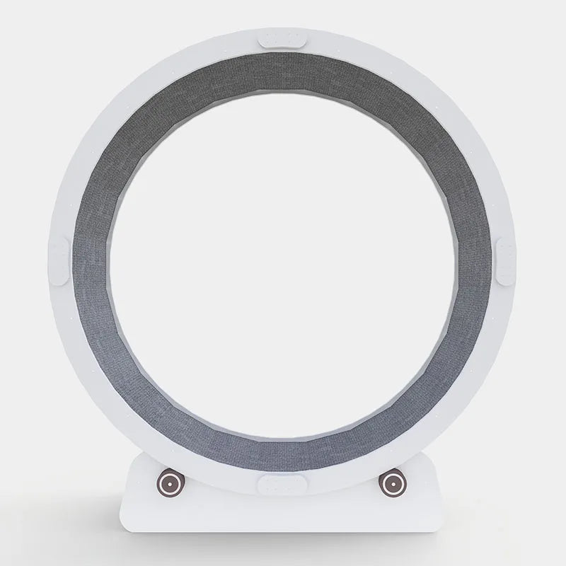 Silent Pet Treadmill & Interactive Gym Wheel
