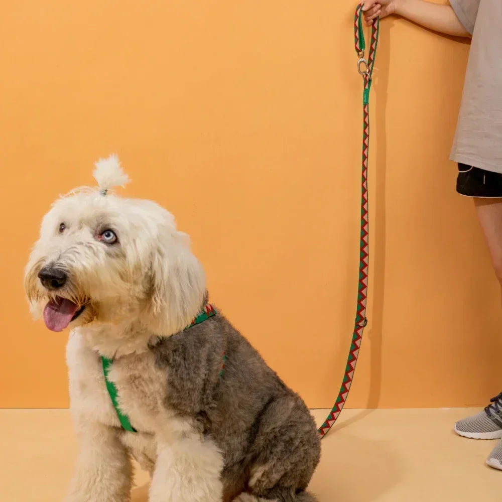 Multi-Functional Dog Leash & Harness Set