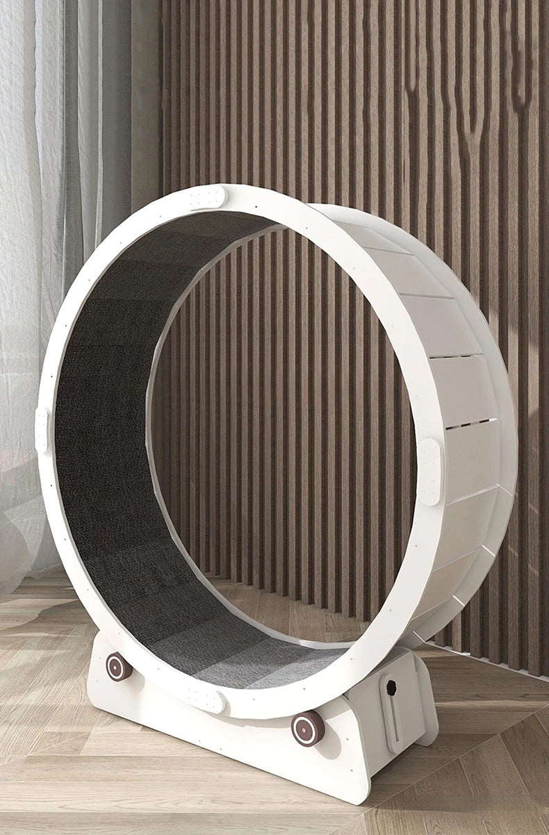 Silent Pet Treadmill & Interactive Gym Wheel