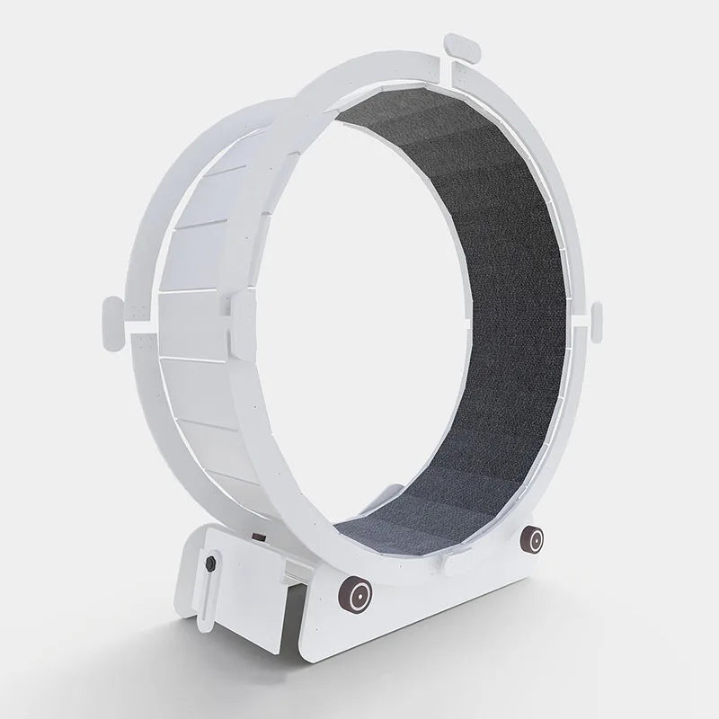 Silent Pet Treadmill & Interactive Gym Wheel