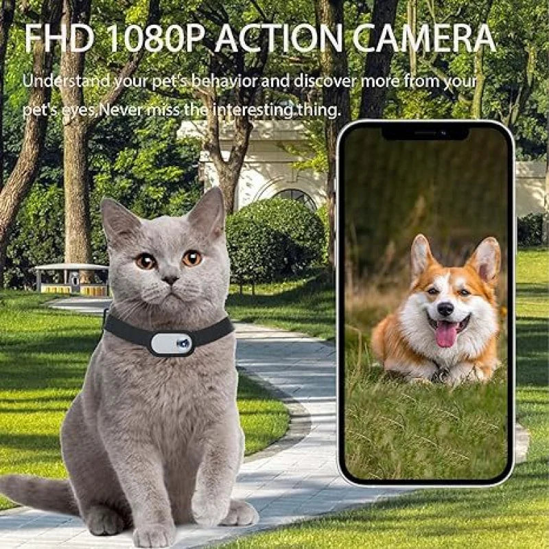 Pet Collar Camera