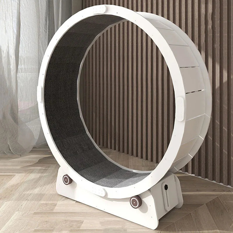 Silent Pet Treadmill & Interactive Gym Wheel