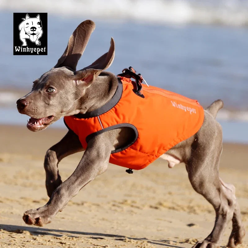 Reflective Outdoor Pet Harness Vest