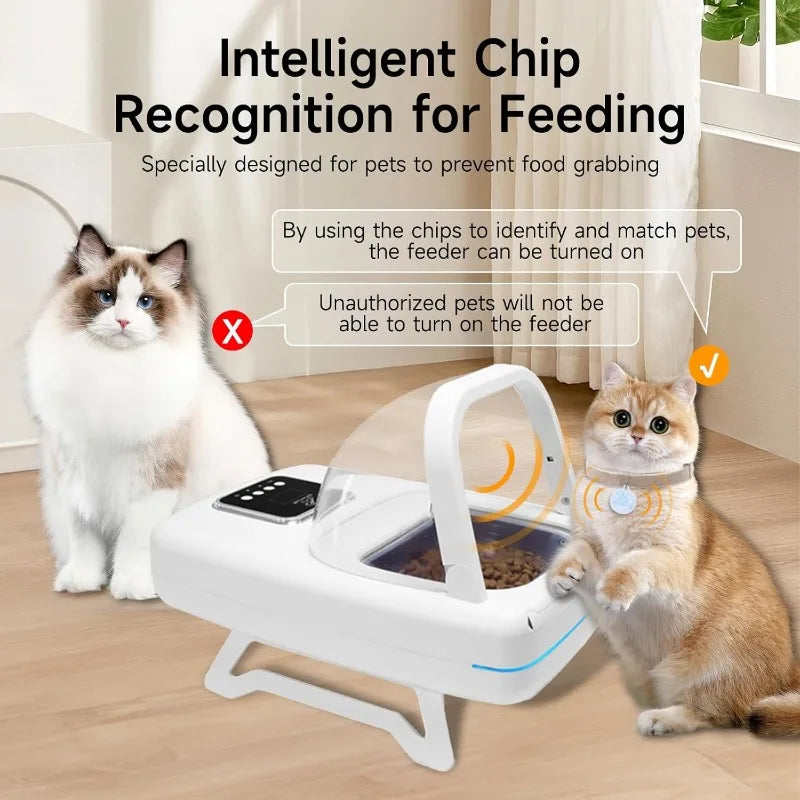 Automatic Collar Sensor Feeder
