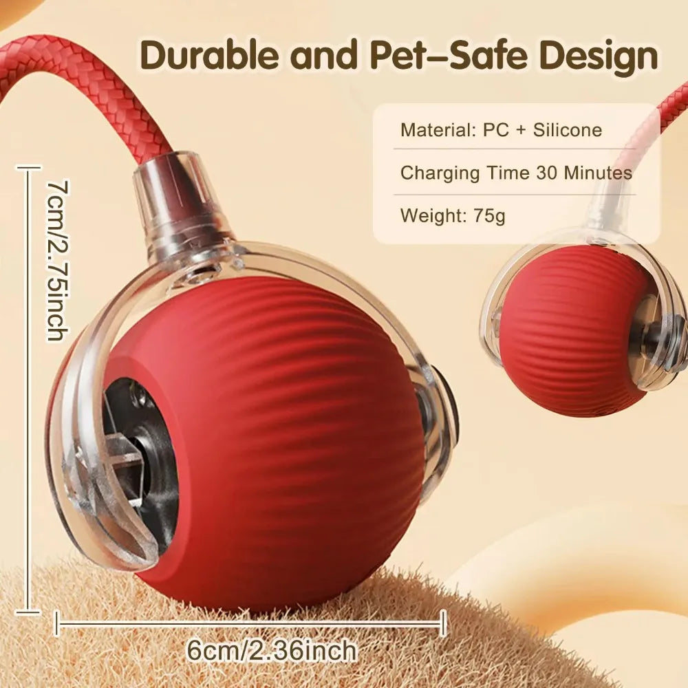 Interactive Cat Ball Toy