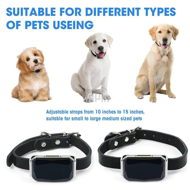 Waterproof Pet GPS Tracker