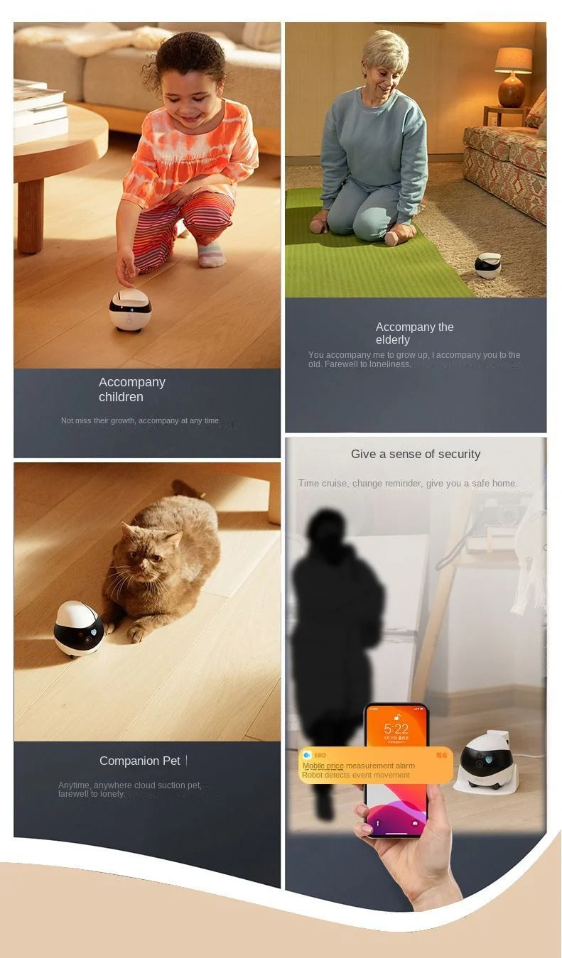 Smart Pet Companion Robot with Camera